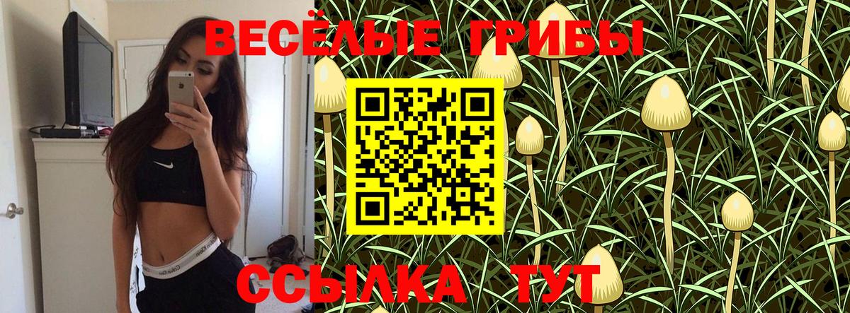 Кропоткин  что такое наркотик  Вход с VPN  Псилоцибиновые грибы GOLDEN TEACHER  Псилоцибиновые грибы ЛСД 