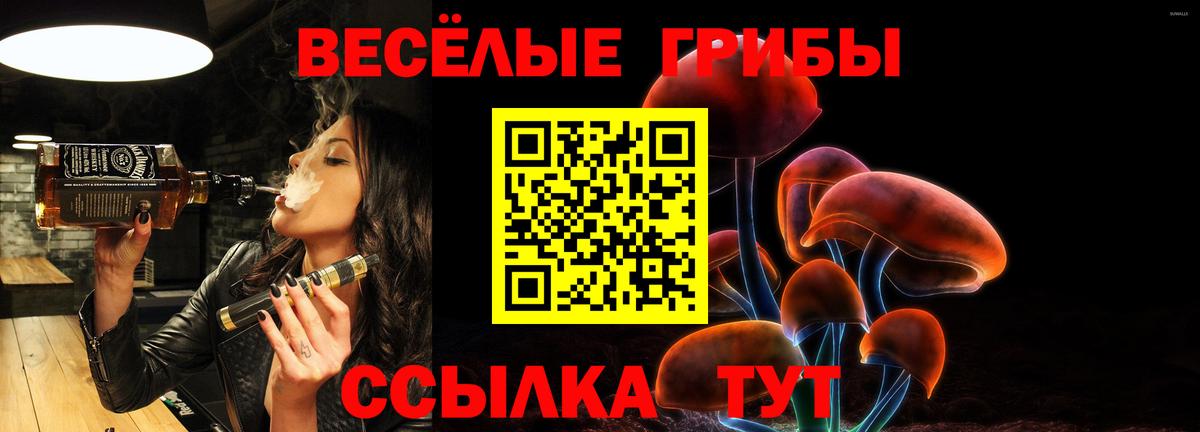 Галлюциногенные грибы Psilocybine cubensis Кропоткин